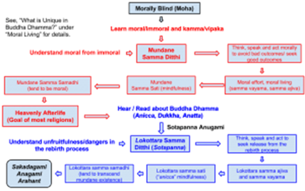 Buddha Dhamma - In a Chart