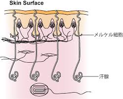 Description: 摜
