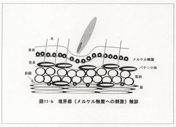 Description: 摜