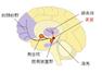 Description: _E[h (1)