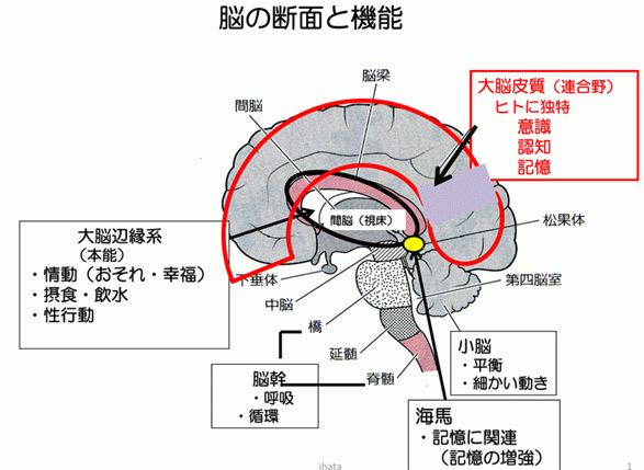 Description: 1
