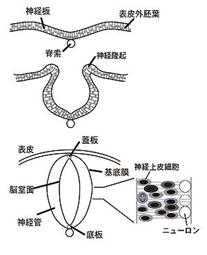 Description: 300px-_oǐ}1