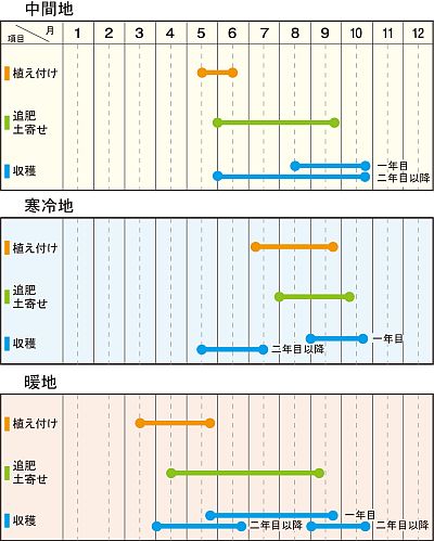Description: http://www.sc-engei.co.jp/plant/fcontents/images/kiji_profile_image/0139-101-20101227184531.jpg