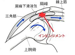 ӊOƑzCsWgǌQ | }bT[WEɁEbsD TfBJI@