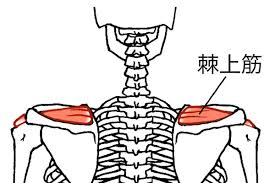 ؂ɂ߂錴ƑΏ@AXgb`EbEZt}bT[W@Ƃ́Hb{A}}CX^[XN[