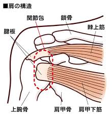 ɂݑގ͐mȐffw̃gux