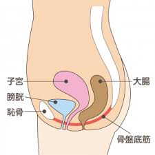 Ւ؂Ƃ́H | i | gRxg̐t TCg