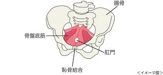 Ւ؂ނƂǂȂȞ݂ƍłP@bAegbGG[b剤