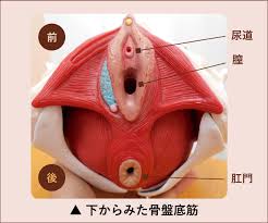 Ւꃊnre[VOɂ - awlska@ ՒZ^[